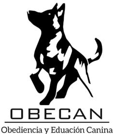 Imagen de OBECAN