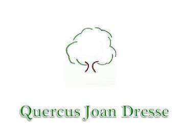 Imagen de QUERCUS JOAN DRESSE