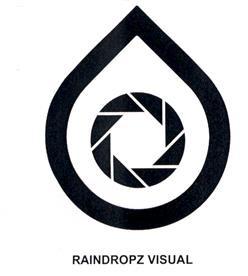 Imagen de RAINDROPZ VISUAL