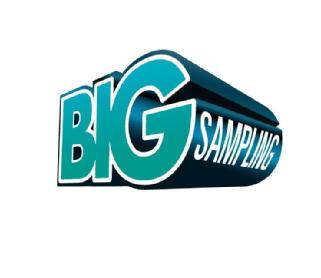 Imagen de BIG SAMPLING