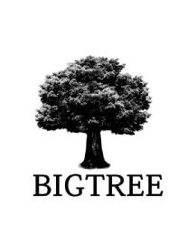 Imagen de BIGTREE