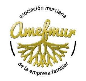 Imagen de ASOCIACION MURCIANA DE LA EMPRESA FAMILIAR AMEFMUR