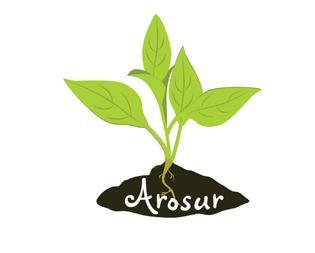 Imagen de AROSUR