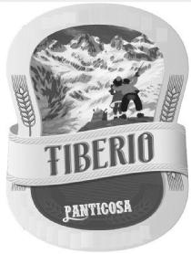 Imagen de TIBERIO PANTICOSA