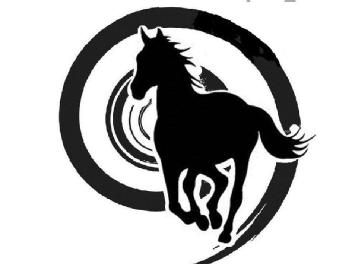 Imagen de TRENDY HORSE