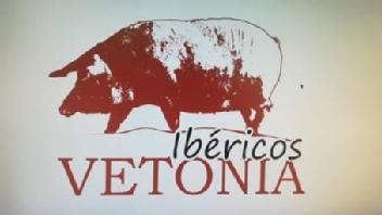 Imagen de IBERICOS VETONIA