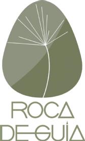 Imagen de ROCA DE GUIA