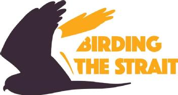 Imagen de BIRDING THE STRAIT