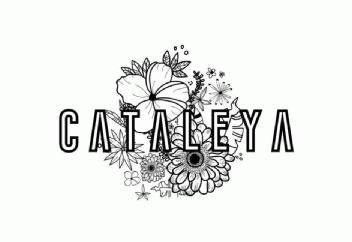 Imagen de CATALEYA