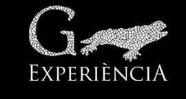 Imagen de G EXPERIENCIA