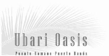 Imagen de UBARI OASIS PUENTE ROMANO - PUERTO BANÚS