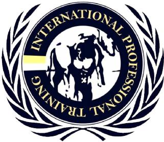Imagen de INTERNATIONAL PROFESSIONAL TRAINING