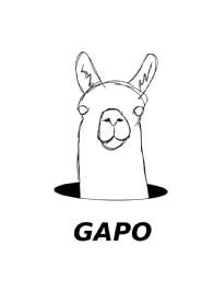 Imagen de GAPO