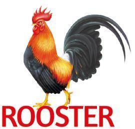 Imagen de ROOSTER