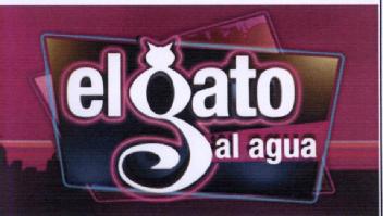 Imagen de EL GATO AL AGUA