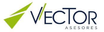 Imagen de VECTOR ASESORES