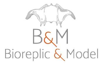 Imagen de B&M BIOREPLIC & MODEL