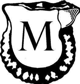 Imagen de M, FIG