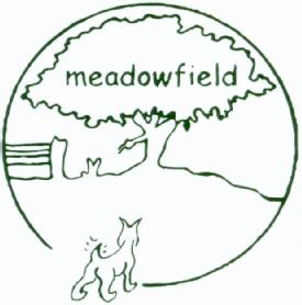 Imagen de MEADOWFIELD