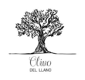 Imagen de OLIVO DEL LLANO