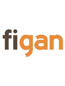 Imagen de FIGAN