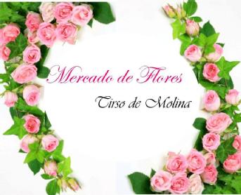Imagen de MERCADO DE FLORES TIRSO DE MOLINA