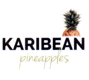Imagen de KARIBEAN PINEAPPLES