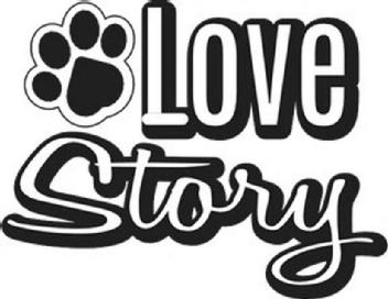 Imagen de LOVE STORY, FIG