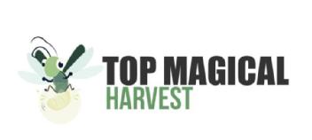 Imagen de TOP MAGICAL HARVEST