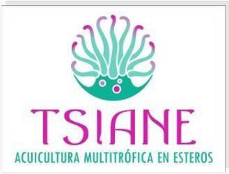 Imagen de TSIANE ACUICULTURA MULTITROFICA EN ESTEROS