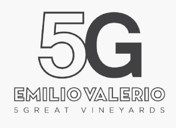 Imagen de 5G EMILIO VALERIO 5 GREAT VINEYARDS