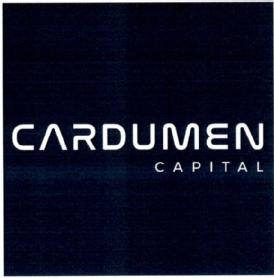 Imagen de CARDUMEN CAPITAL