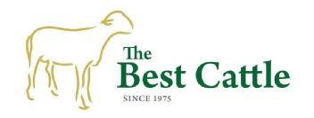 Imagen de THE BEST CATTLE SINCE 1975