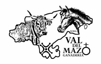 Imagen de VAL DEL MAZO