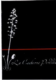 Imagen de LA CACHORRA PERDIDA