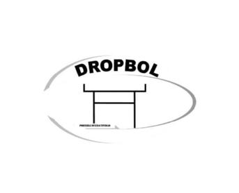 Imagen de DROPBOL PORTERIA MULTIACTIVIDAD