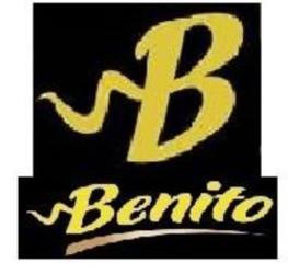 Imagen de B BENITO
