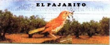 Imagen de EL PAJARITO