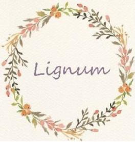 Imagen de LIGNUM