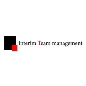 Imagen de INTERIM TEAM MANAGEMENT