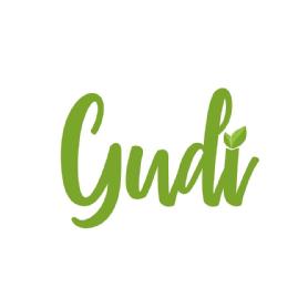 Imagen de GUDI