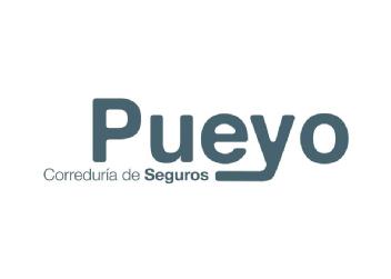 Imagen de PUEYO CORREDURIA DE SEGUROS