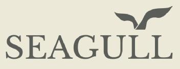 Imagen de SEAGULL