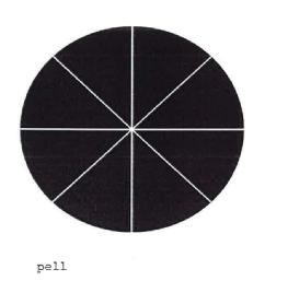 Imagen de PELL