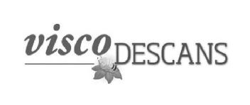 Imagen de VISCODESCANS