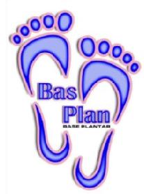 Imagen de BAS PLAN BASE PLANTAR