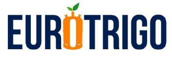 Imagen de EUROTRIGO
