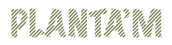 Imagen de PLANTA\'M