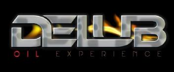 Imagen de DELUB OIL EXPERIENCE