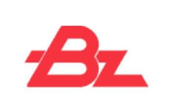 Imagen de BZ